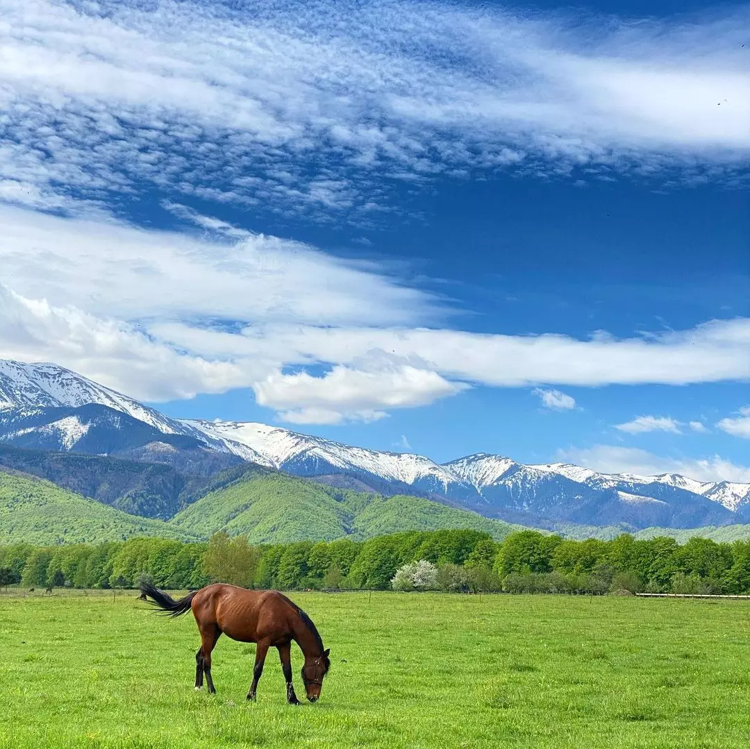 Descoperă Transilvania în 3 zile