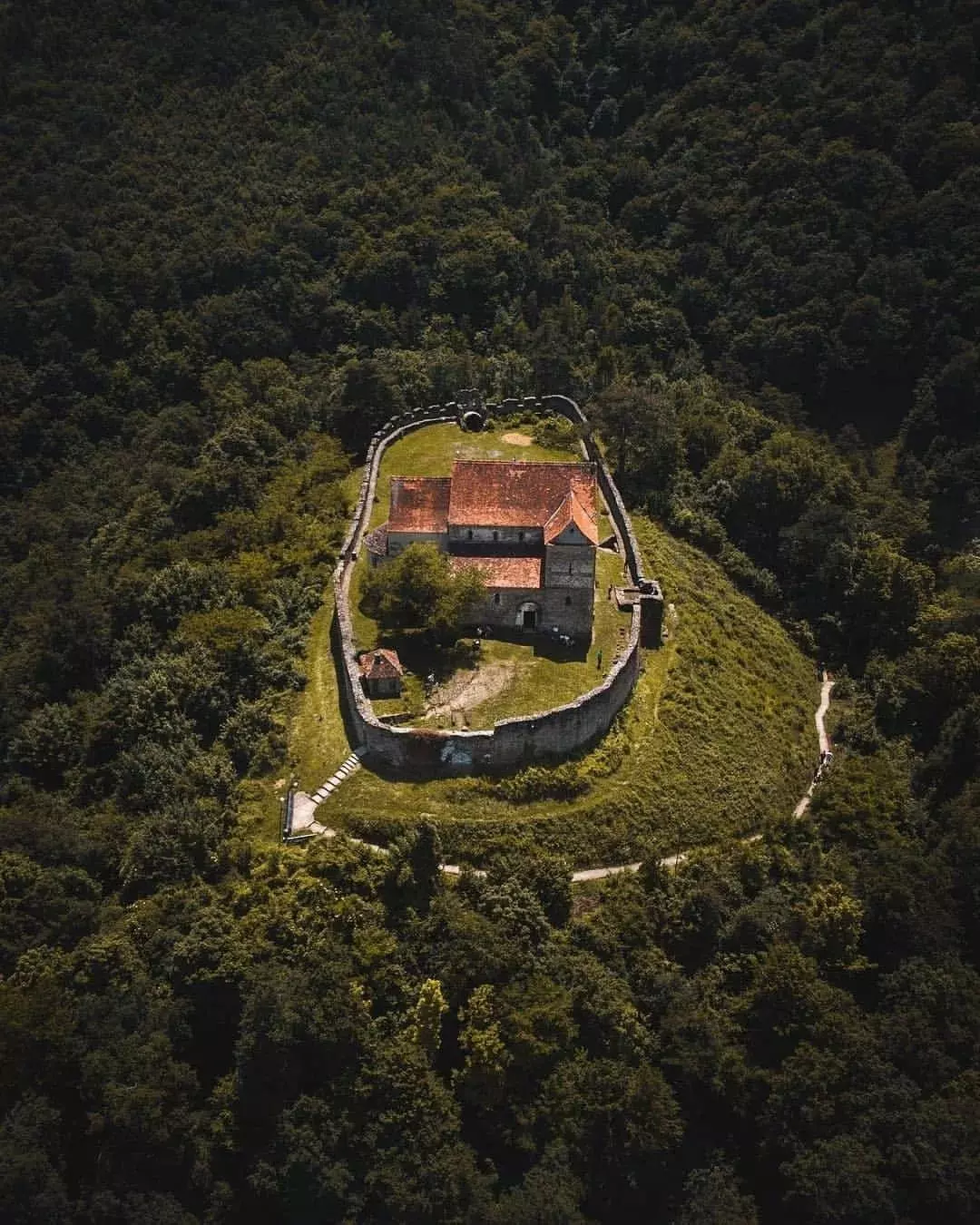 Cetatea Cișnădioara