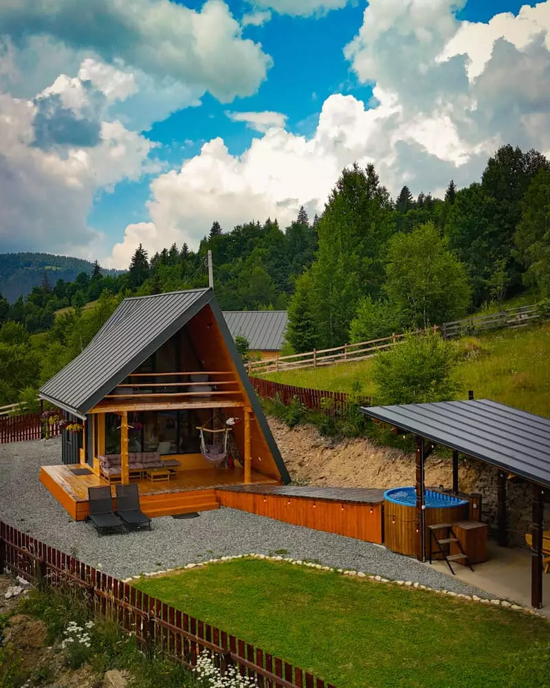 Cabana dintre Mesteceni