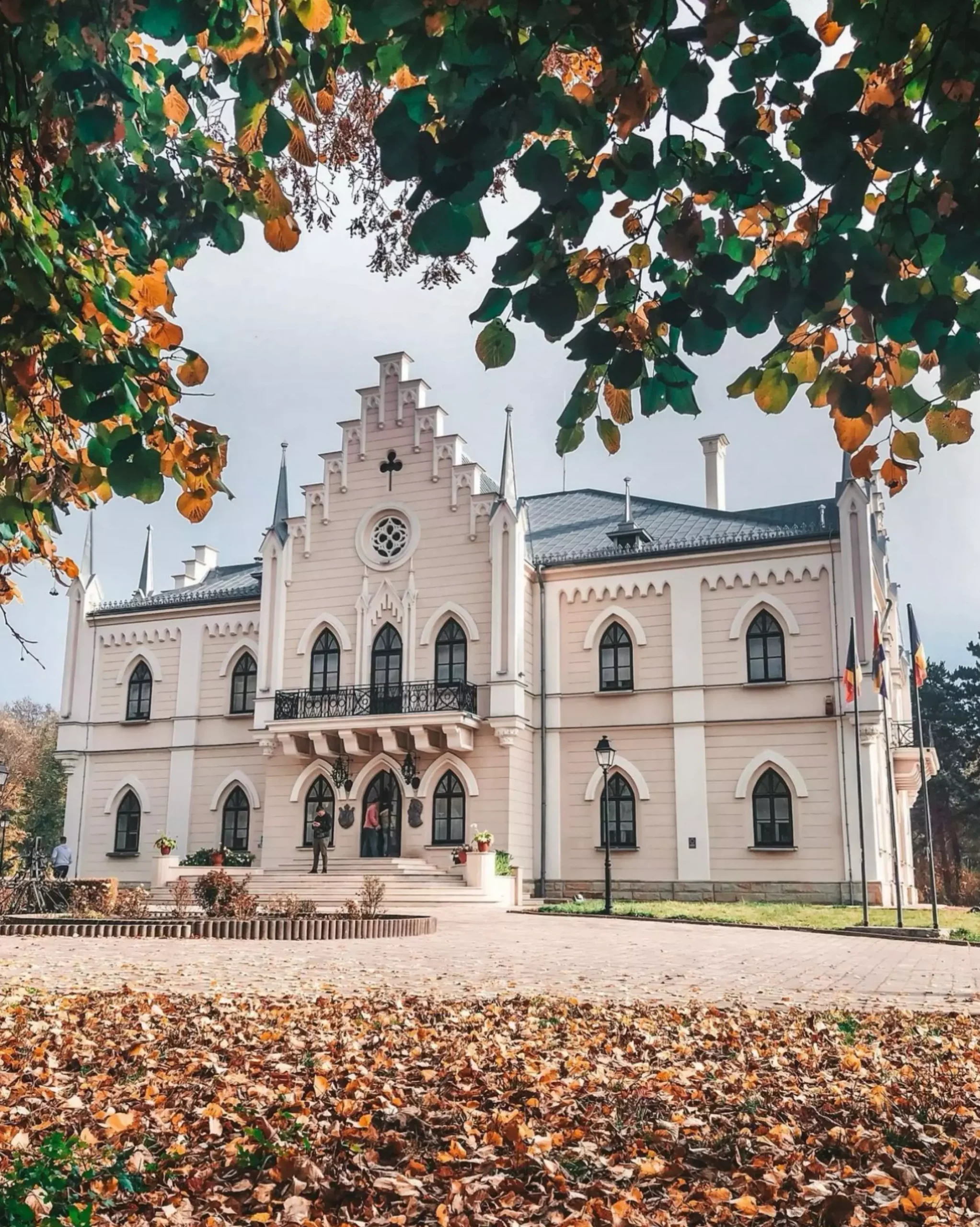 Palatul Cuza de la Ruginoasa