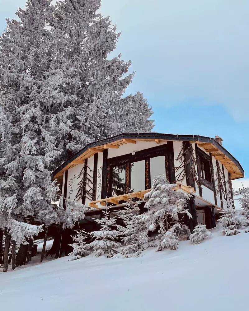 Con, Căsuța din copac