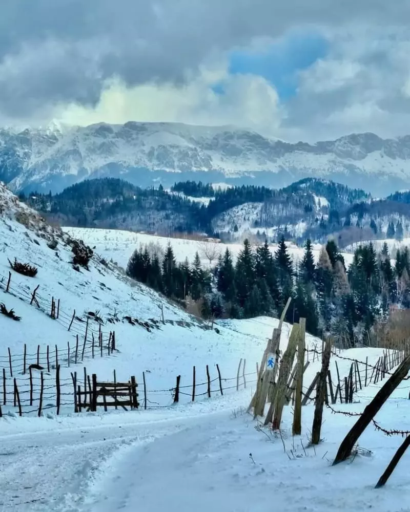 Satul turistic Șirnea