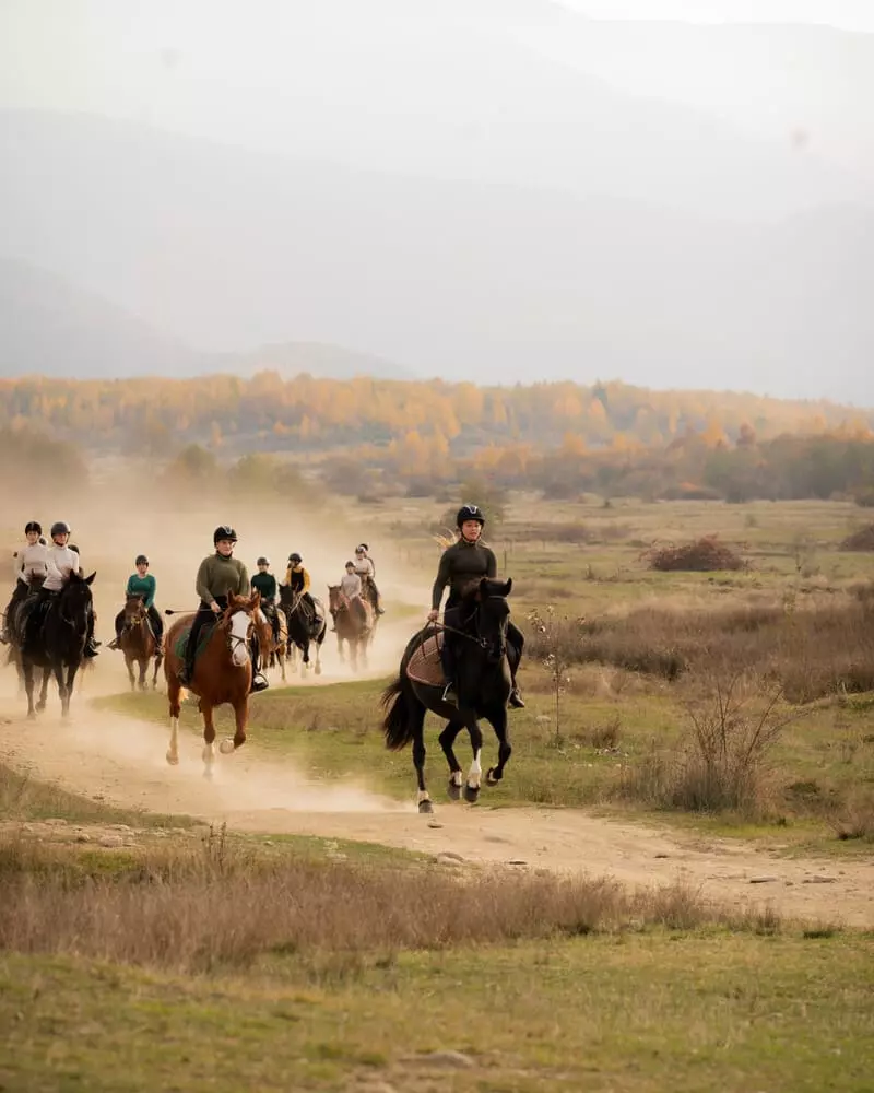 Descoperă Munți Făgăraș din șa – Aventură călare în Valea Avrigului